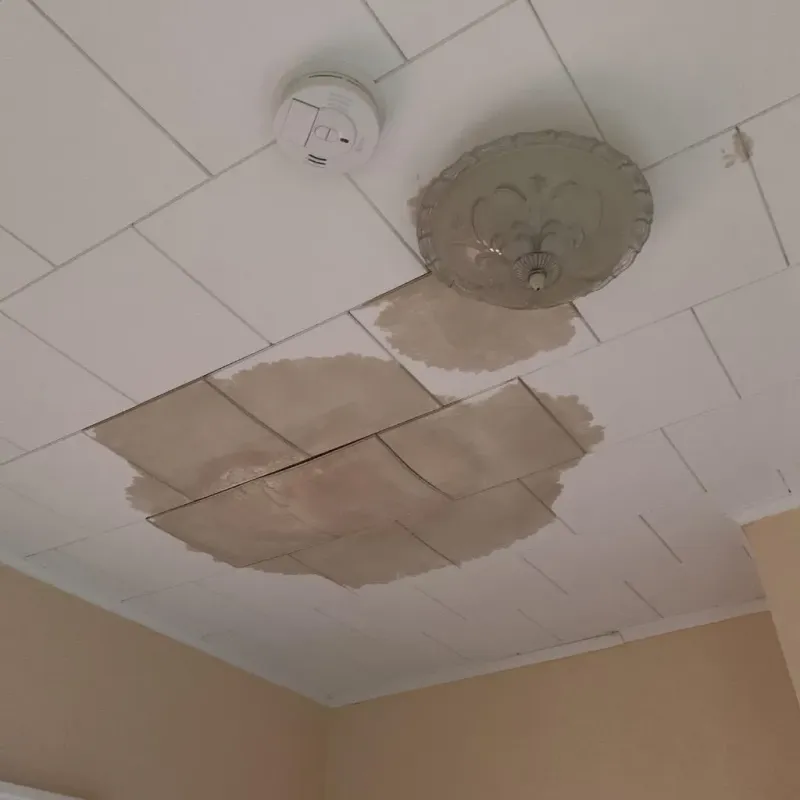 Ceiling Water Damage Repair in Peoria Heights, IL