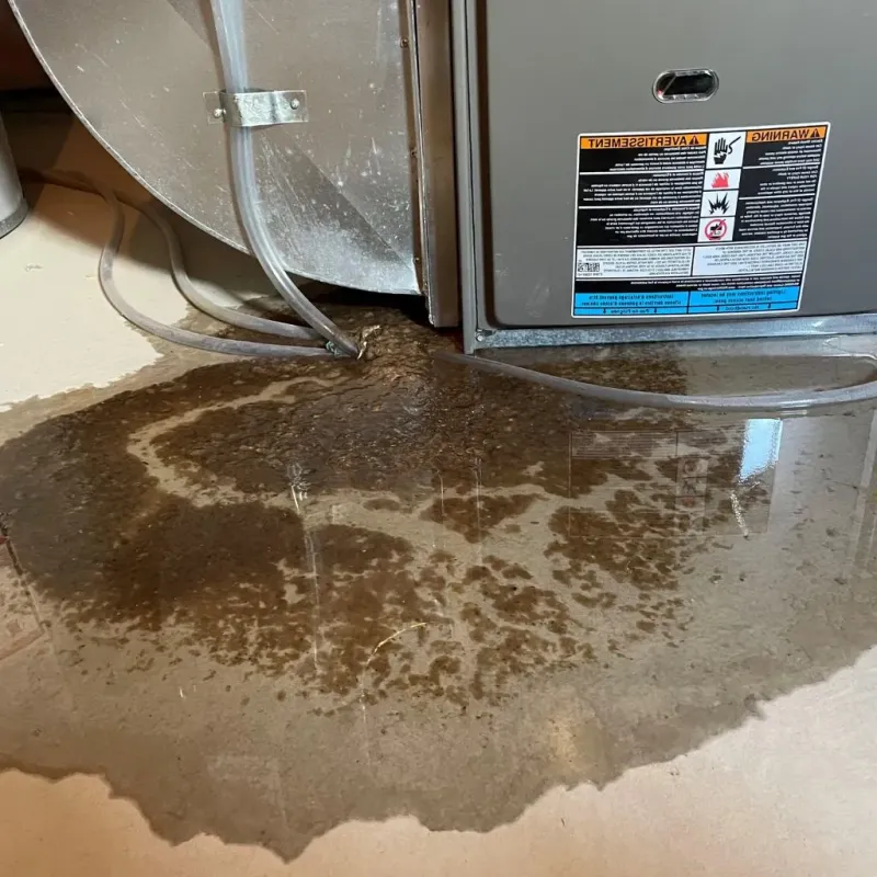 Pipe Burst and Leak Restoration in Peoria Heights, IL