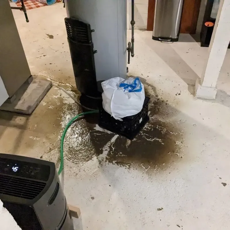 Sewage Backup Cleanup Service in Peoria Heights, IL